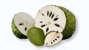 Durian adalah nama tumbuhan tropis yang berasal dari wilayah asia tenggara, sekaligus. Durian Belanda Sirsak Mediatani