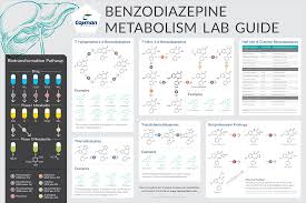 literature media cayman chemical