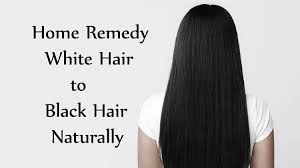 Turn White Hair To Black Permanently Nutshell School
