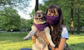This dogappy article will tell you how to make a dog bandana at home, so get ready to unleash your creative side for your pet! Diy Matching Face Mask And Dog Bandana
