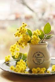 Inspiring Quotes Mimosa Yellow Flowers Yellow Cottage