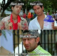 Pin By Uzair Dk On Logical Baat Black Ants Humor Red Ant
