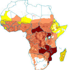 Image result for Costularia natalensis