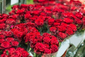 Send flowers in raleigh, north carolina. Red Roses Wholesale