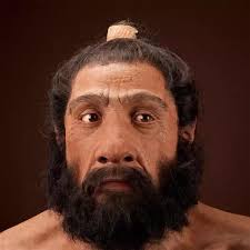 Even though all members of a species have essentially the same genetic makeup, these slight differences account for variations in phenotype, such as appearance or metabolism, between individuals. How Can We Know The Skin Colour Of Neanderthals Or Denisovans Do We Have Genetic Or Other Proof Hair Colour Doesn T Necessarily Say Anything About Skin Colour After All Quora
