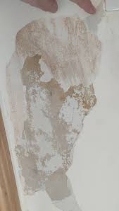 We did not find results for: How To Apply Plaster To A Plaster Damaged Drywall Section Home Improvement Stack Exchange