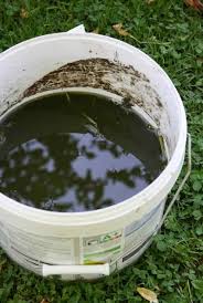 Comment Faire Du Purin D Ortie Tutoriel Purin Ortie Astuce Jardin Potager Hors Sol