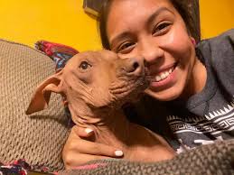 Fauci is making the transition from a living