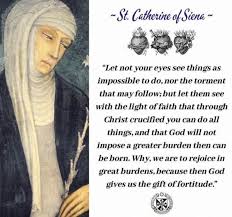 St catherine of siena i dint understand i guess it's saying that everyone is diabolic because they sin because we aren't perfect. Pin On Spirituality And Inspiration
