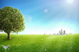 تحميل خلفية طبيعه خضراء وشجره وأبراج سكنيه psd nature tree nature tree