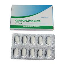 Image result for Kotschya uguenensis