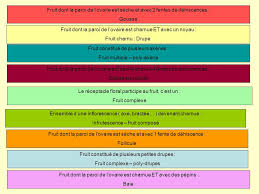 Diversite Des Fruits Ppt Video Online Telecharger