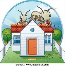 The postal service is an essential government service, and will remain open wherever possible. Cinobugs Pest Control Lawn And Termite Home Facebook