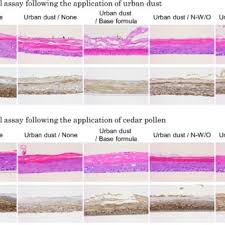 Is a leading manufacturer of adhesive, sealant and waterproofing materials in malaysia. Pdf A Novel Water In Oil Emulsion With A Lecithin Modified Bentonite Prevents Skin Damage From Urban Dust And Cedar Pollen