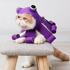 A superhero costume that's super easy. 22 Best Halloween Costumes For Cats 2021 Best Cat Costumes