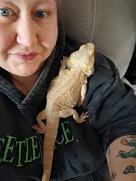 Bearded Dragons Lovers