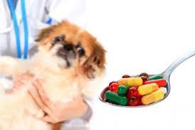 Over The Counter Medications That Are Safe For Dogs And How Much To Give The Dogington Post Meds For Dogs Dog Medicine Medication For Dogs