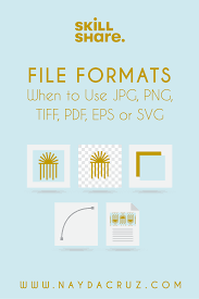 File Formats When To Use Jpg Png Tiff Pdf Eps Or Svg In 2021 Skillshare Skillshare Classes File Format