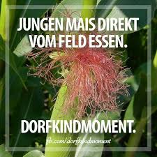 Sowos Nennt Ma Kukuruz Tolle Worte Dorfkind Momente Kinder