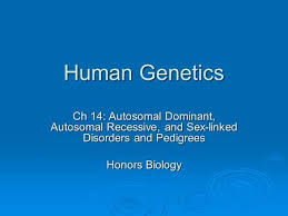 14 1 human chromosomes workbook a answer key. Human Genetics Patterns Of Inheritance For Human Traits Chapter Ppt Download
