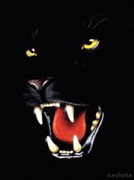 Fondos de pantalla anime hd fondos de pantalla. Pin En Gifs