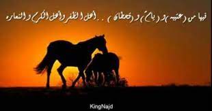 شيله ناصر العتيبي مدح عتيبه يام قحطان horses places to visit animals