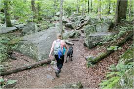 We did not find results for: White Oak Canyon Trail Jessica Ryan Photography