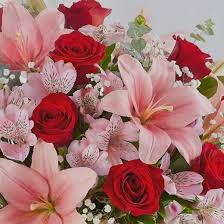 You can also modify and track your order, visit our faq, and email or chat with our customer service team. Shop 1 800 Flowers Buy Now Pay Later Quadpay