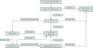 Abdominal Wall Pain A Common Clinical Problem Mayo Clinic Proceedings
