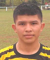 Restoring Honour to our National Flag!