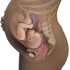 39 Weeks Pregnant Symptoms Signs Babycenter