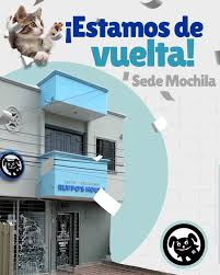 Veterinaria Ruffo's House (Sede Mochila)