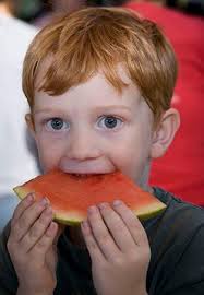 Our Town North: Aug. 15, 2023 by MAP Publications