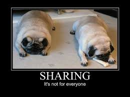 The One About Sharing Or Not Sydrew Tries To Make A Baby