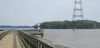 We did not find results for: Proposal For Primitive Camping Area At Lawrence Lewis Jr Park Approved James River Association