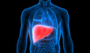 Prior to 1992, blood transfusion was a risk for contracting hepatitis c infection. Viral Hepatitis Why Voluntary Screening Matters Video Cleveland Clinic Abu Dhabi
