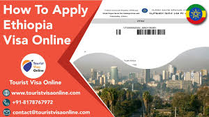 Current epassport with photocopy of data page. How To Apply Ethiopia Visa Online At Touristvisaonline Com How To Check Ethiopia Visa Status Online Youtube
