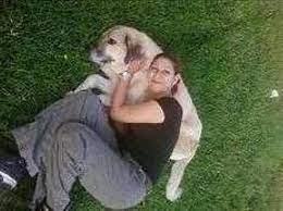 ugur kopek egitim merkezi ugur dog training center panosundaki pin