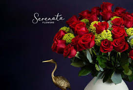 Feb 7, 2021click to saveyou may also likesalea. Serenata Flowers Discount Code July 2020 Cousins Subs Online Coupon Code