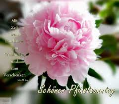 Pfingstgrusse ich wunsche dir frohe pfingsten 2020 youtube. Sonnige Ostergrusse 2019 2020 Ostergrusse Osterkarte Ostermontag Ostersonntag Osterwunsche Son Frohe Pfingsten Lustig Frohe Pfingsten Grusse Zu Pfingsten