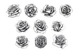 Choose from our handpicked collection of free, hd rose pictures and images. Hand Drawn Rose Collection Graphics Youworkforthem