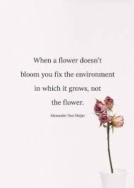 Positive Affirmations See More Ideas About Quote Life Inspire Quotes And Motivation Quotes Powerofposi Flower Quotes Love Life Quotes Flower Quotes