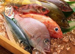 Tak heran jika ikan tuna banyak digemari oleh masyarakat. 7 Jenis Ikan Laut Konsumsi Paling Populer Di Indonesia Salimah Food