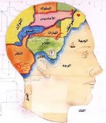 C'est une version allégée de la schizophrénie. 11 Idees De Langue Langue Apprendre L Arabe Neurone Miroir