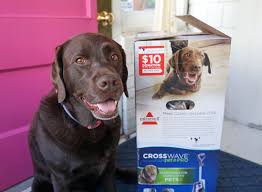 Bissell Crosswave Pet Pro Reviews Reviewing Bissell Crosswave Pet Pro Pets Pet Blog Dogs