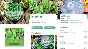 That's why we still list it as a terrific hiking app. Top 9 Best Plants And Flowers Identification Android App 2021 Fuentitech