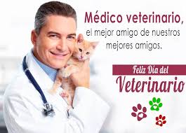 Maybe you would like to learn more about one of these? Gerencia Veterinaria Home Facebook