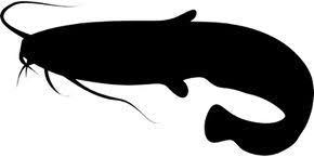 Pin Oleh Info Kesehatan Eko Di Logo Lele Aquaponics Kartun Ikan