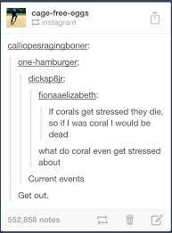 The Best Of Tumblr 40 Pictures Of Tumblr At It S Best