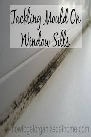 To make learning how to clean windows with vinegar more fun and easy for you to do, you better remember to prepare the things that you will as you can see, you don't just splash a considerable amount of vinegar on your windows to wash them. The Best Ways For Tackling Mold On Window Sills Mold On Window Sills Cleaning Hacks Clean Mold